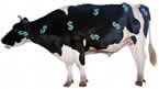 H1B Employee - A Cash Cow